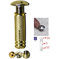 BricoLoco Tacos de Piscina de latón- Tornillo INOX A2 | Sistema de Anclaje para Lona Piscina Escamoteable con Rosca…